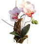 H-palen-pink90.jpg