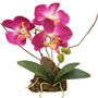 H-palen-purple90.jpg