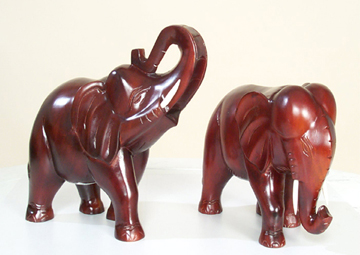 elephant.jpg